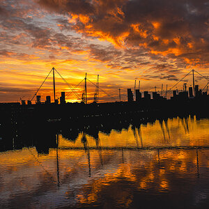 Royal Victoria Dock from Excel Centre-1.jpg