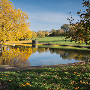 greenwichpark_pond_leaves-7.jpg