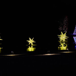 Christmas at Longwood - Longwood - 01102025 - 14.jpg