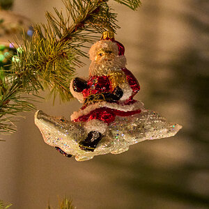 Christmas at Longwood - Longwood - 01102025 - 12.jpg