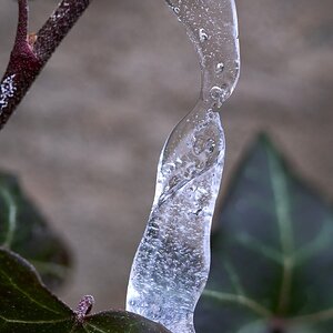 Icicle - Home - 01212025 - 02.jpg