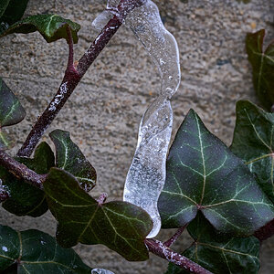 Icicle - Home - 01212025 - 03.jpg