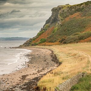 Bracken-Bay-@-Heads-of-Ayr.jpg