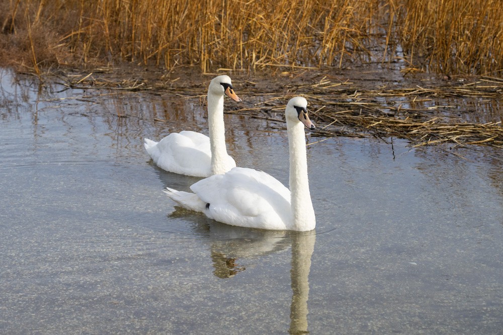 004-Sunken-Meadow-1-7-23-12.jpg