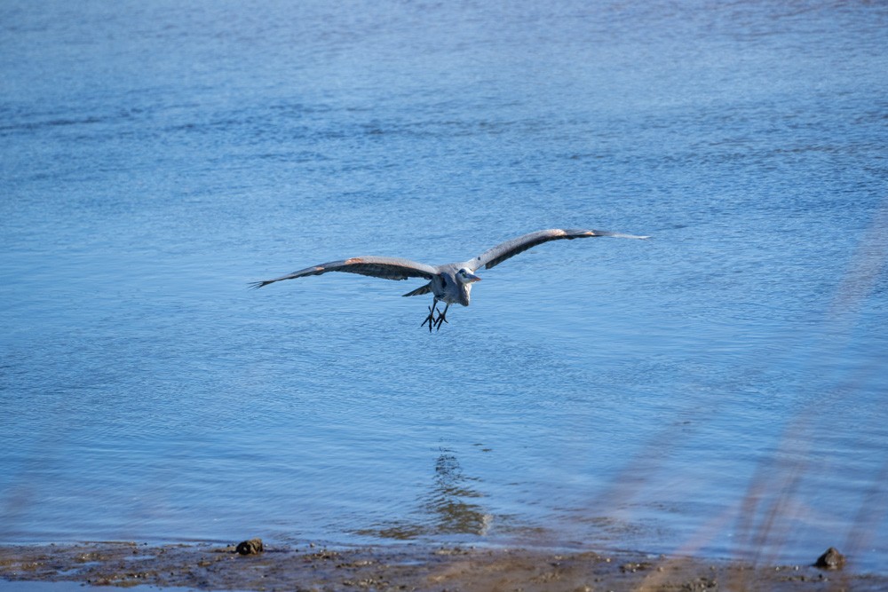 023-Sunken-Meadow-2-14-23-01.jpg