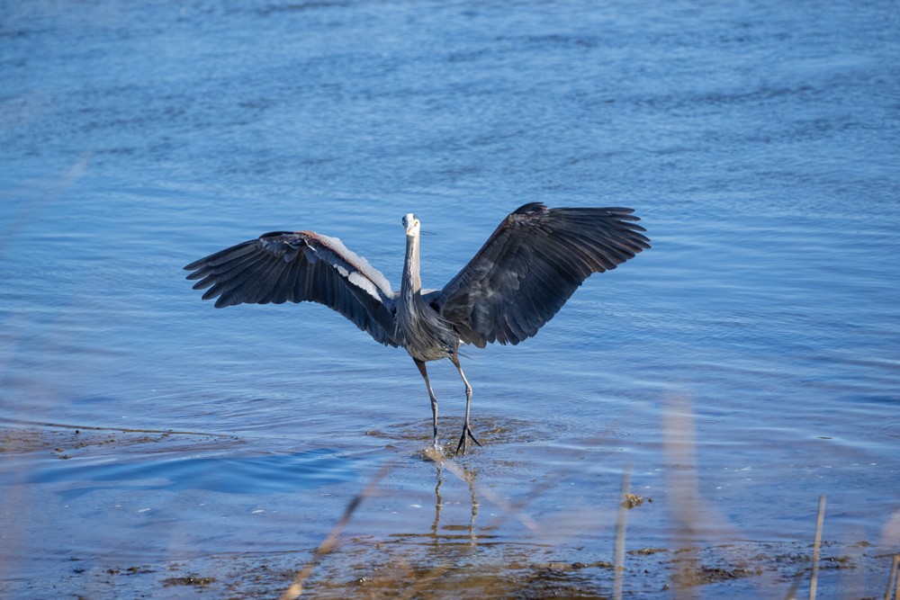 023-Sunken-Meadow-2-14-23-03.jpg