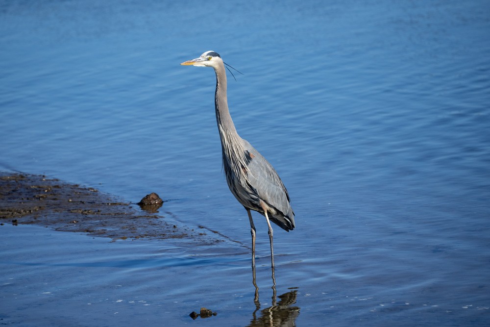 023-Sunken-Meadow-2-14-23-04.jpg