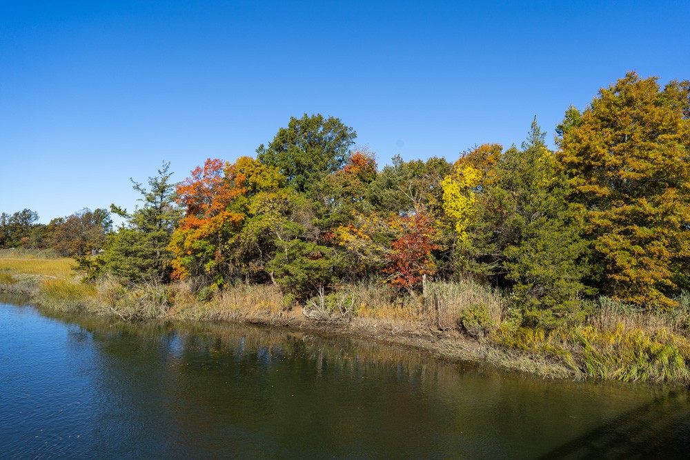 154-Sunken-Meadow-10-27-22-04.jpg