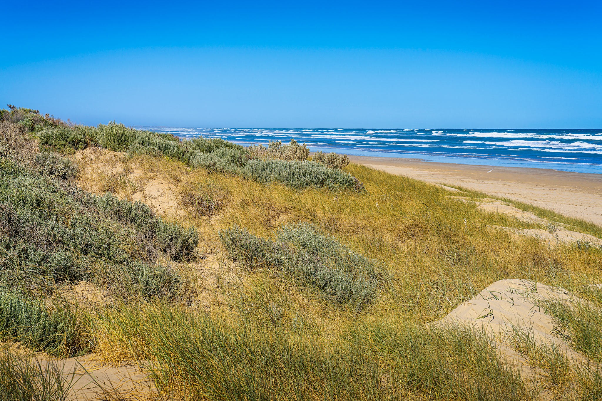 _7RV0306_Goolwa_Beach.jpg