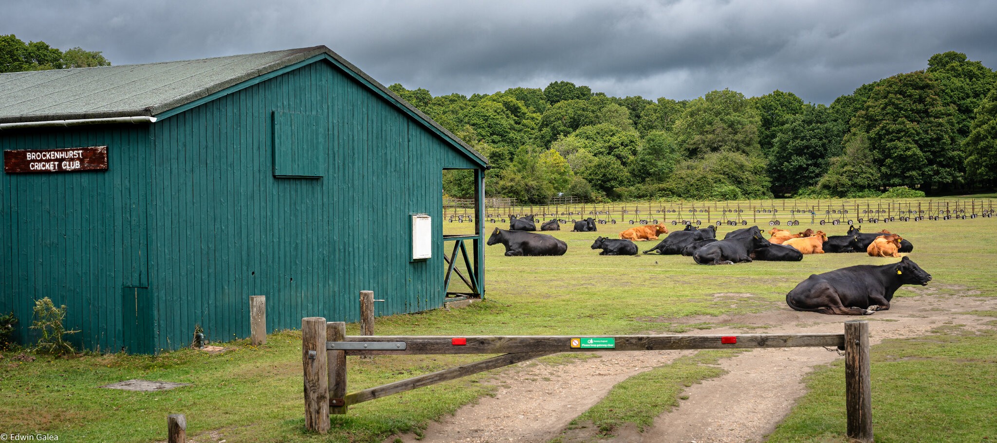 brockenhurst cricket club new forest-2.jpg