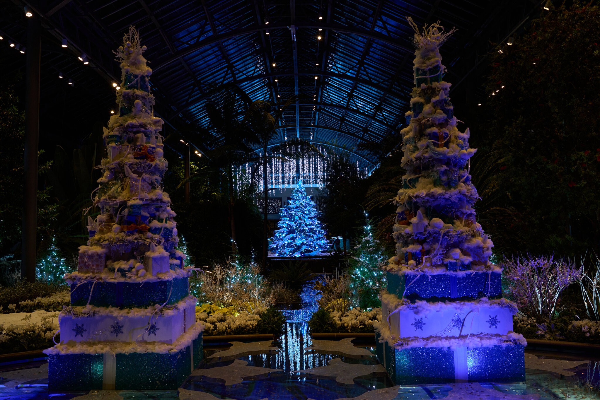 Christmas at Longwood - Longwood - 01102025 - 10.jpg