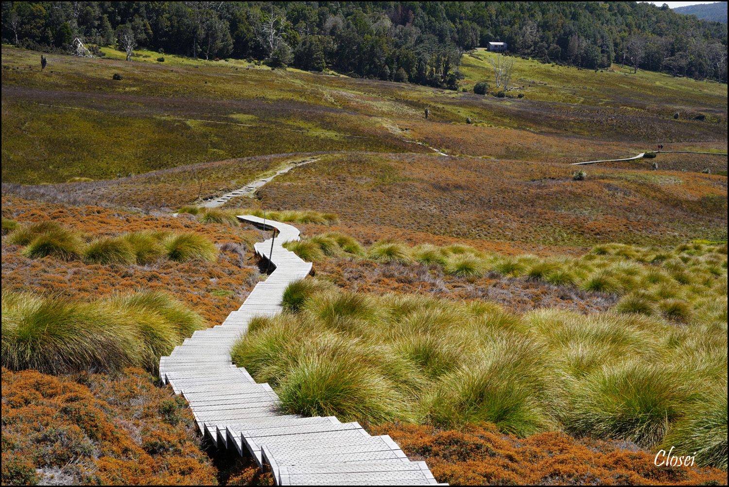 Cradle valley r.jpg | Sony Alpha Forums - AlphaShooters.com