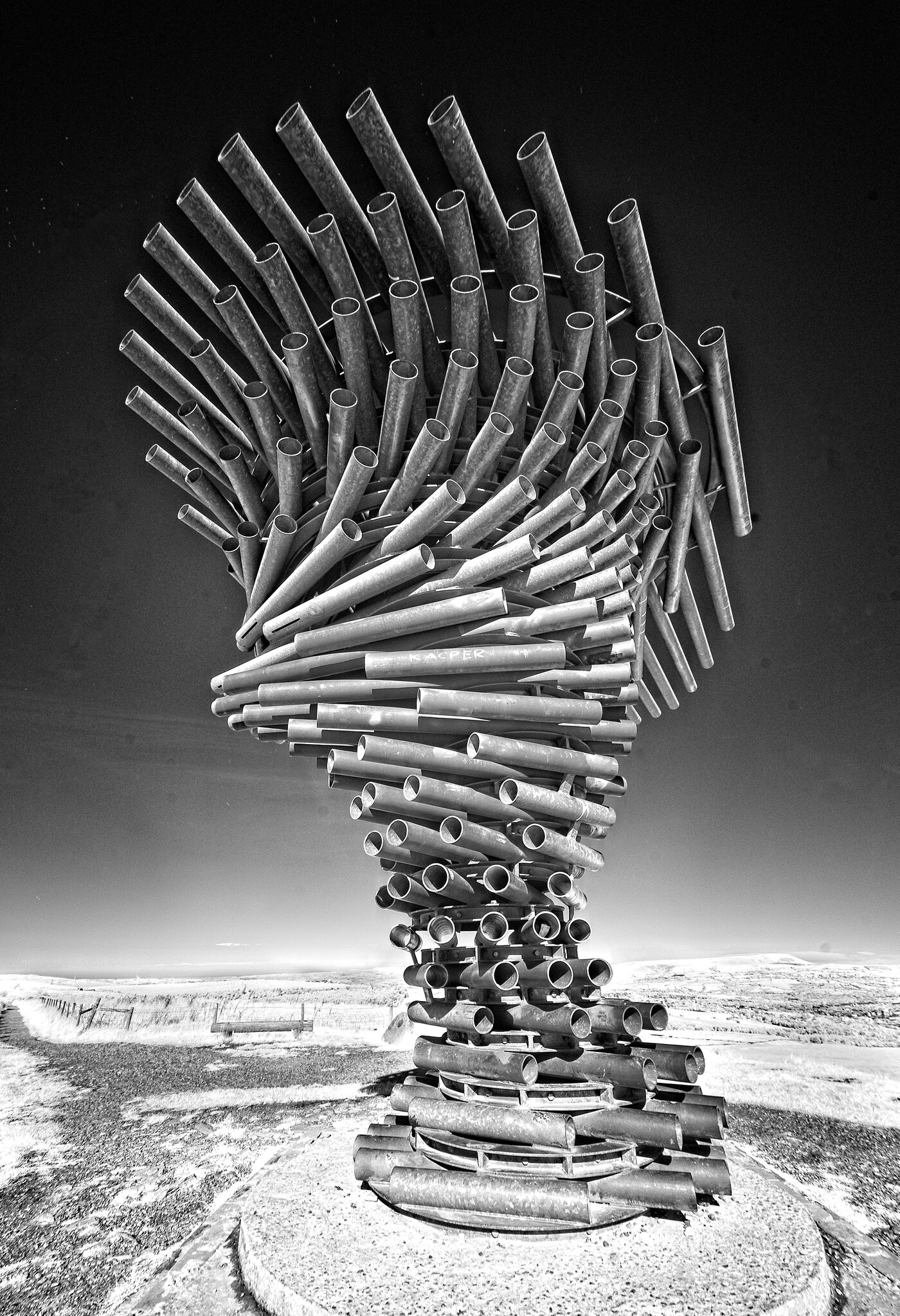 DSC03921singing ringing tree.jpg