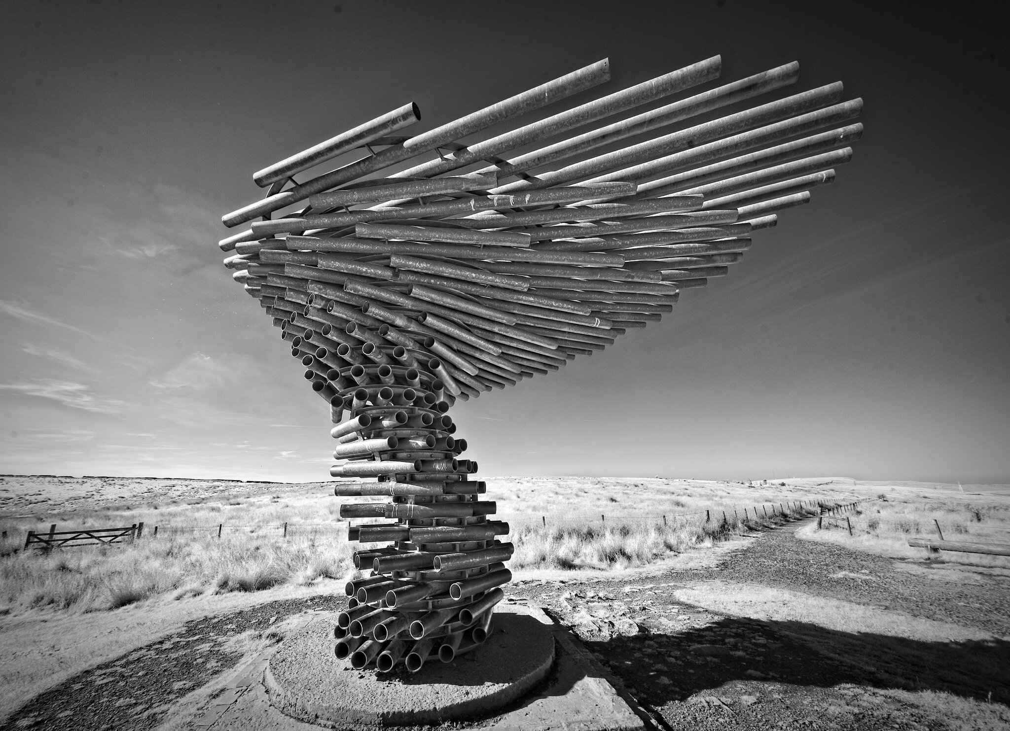 DSC03937singing ringing tree.jpg