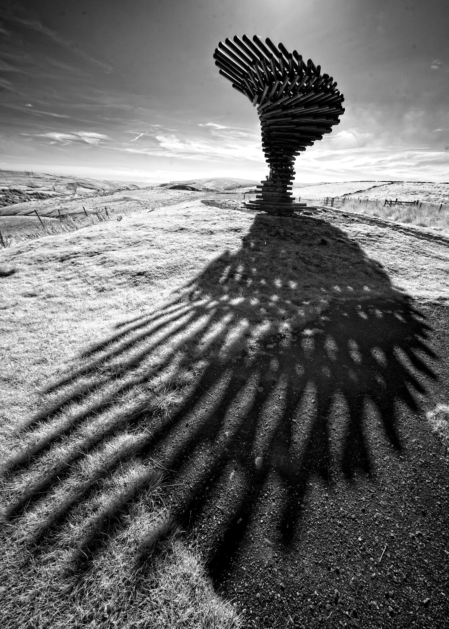 DSC03950singing ringing tree.jpg