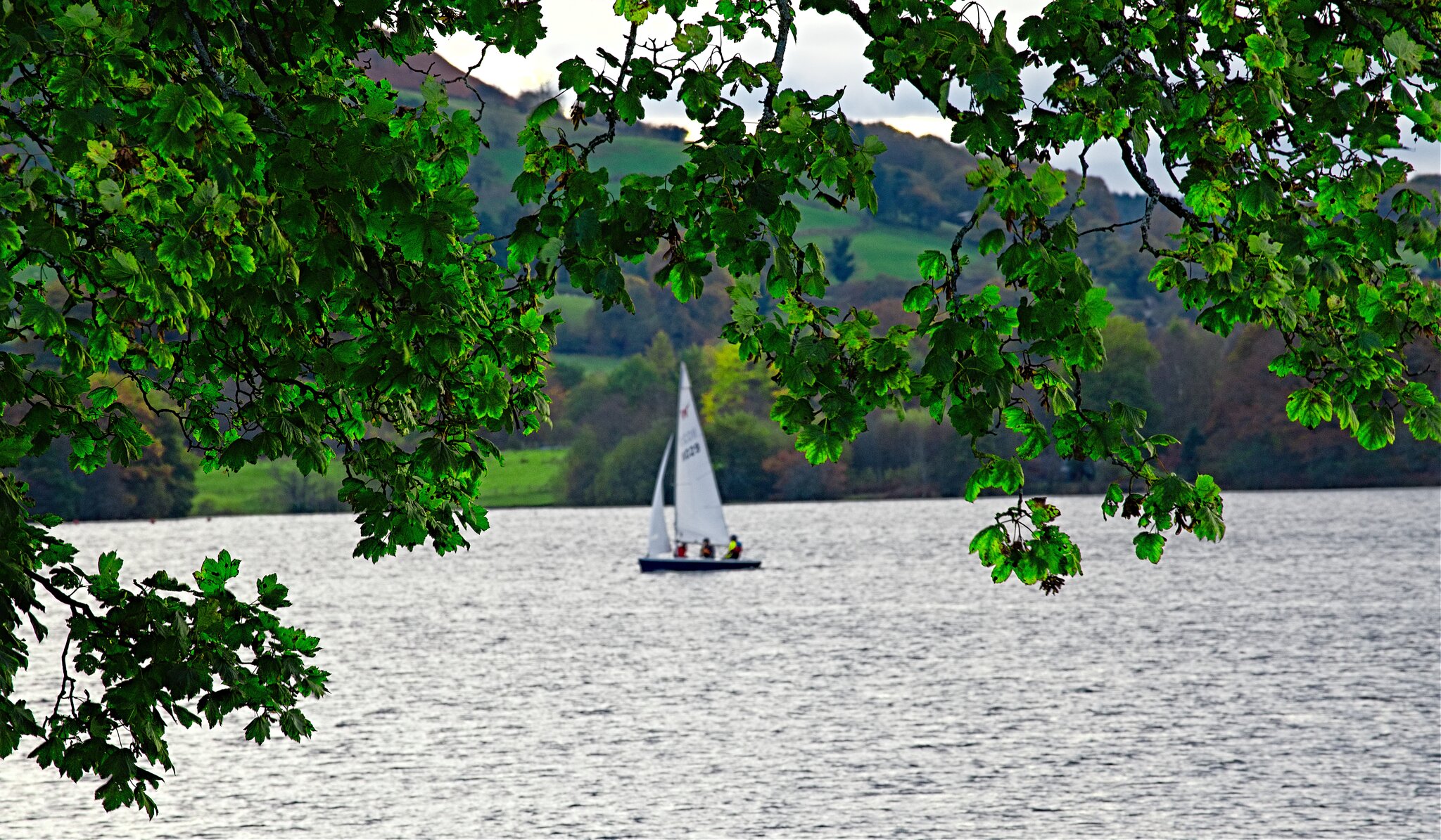 DSC04072aAmbleside 82.jpg.jpg