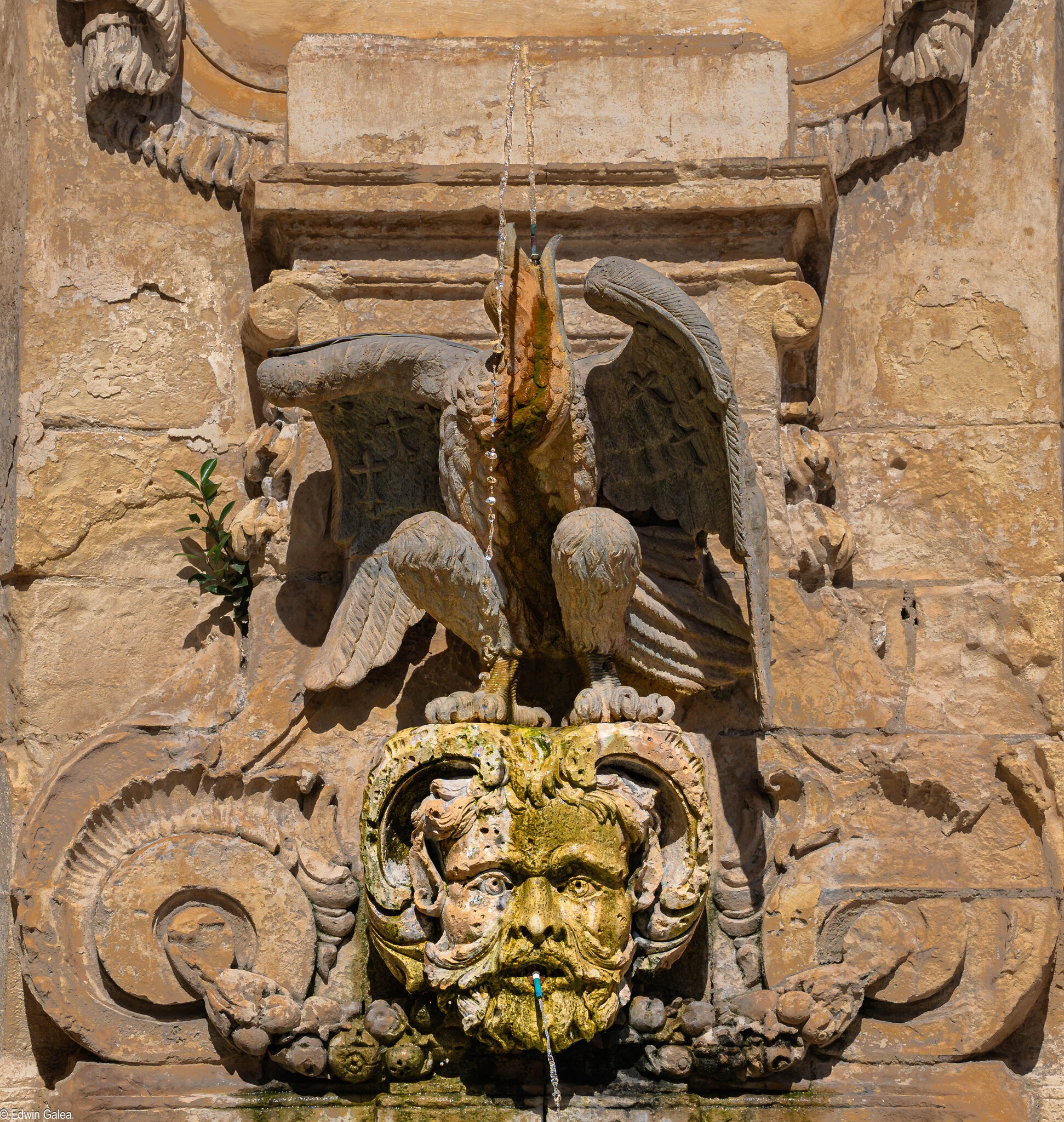 eagle fountain left-1.jpg