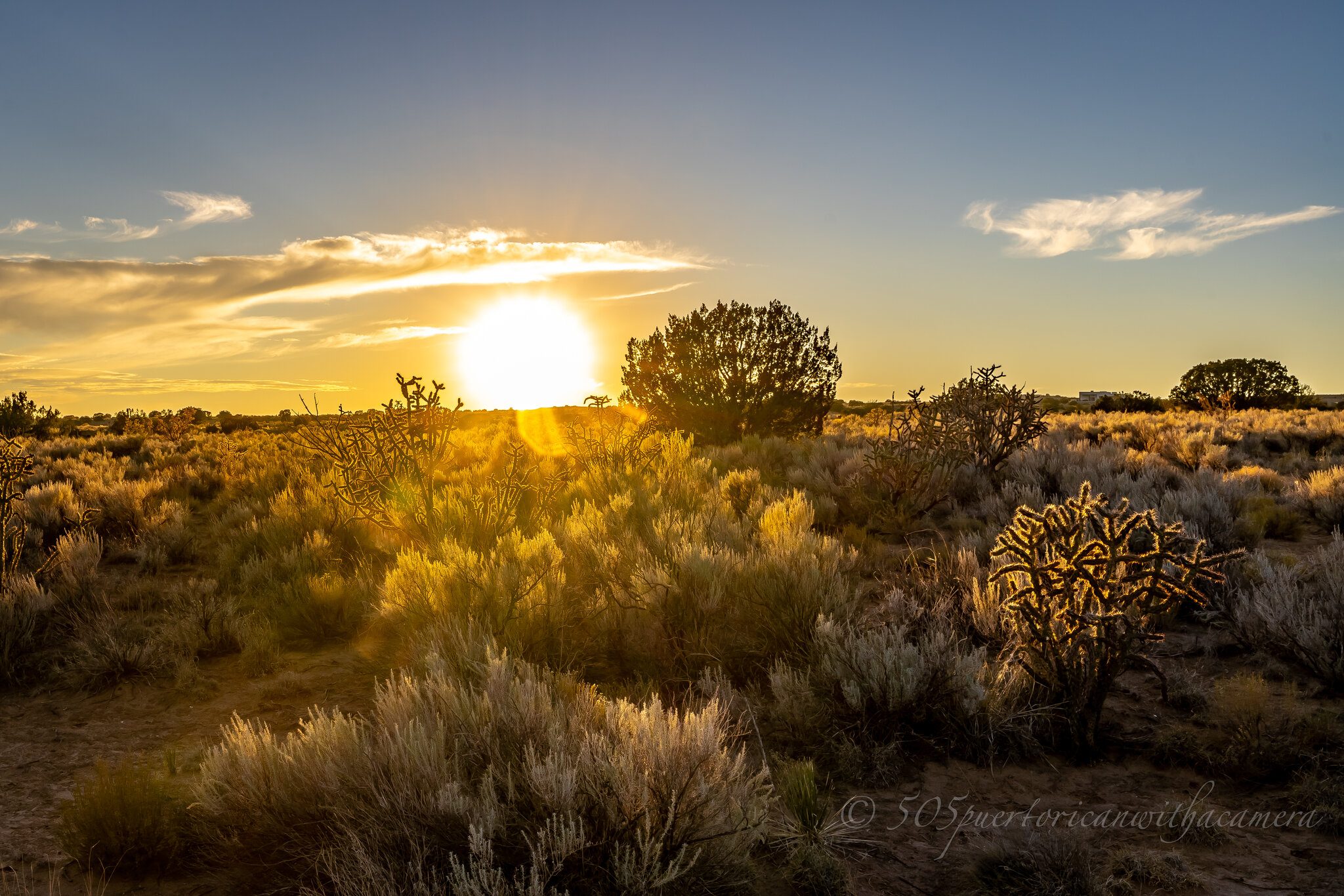 Early Sunset on the Mesa