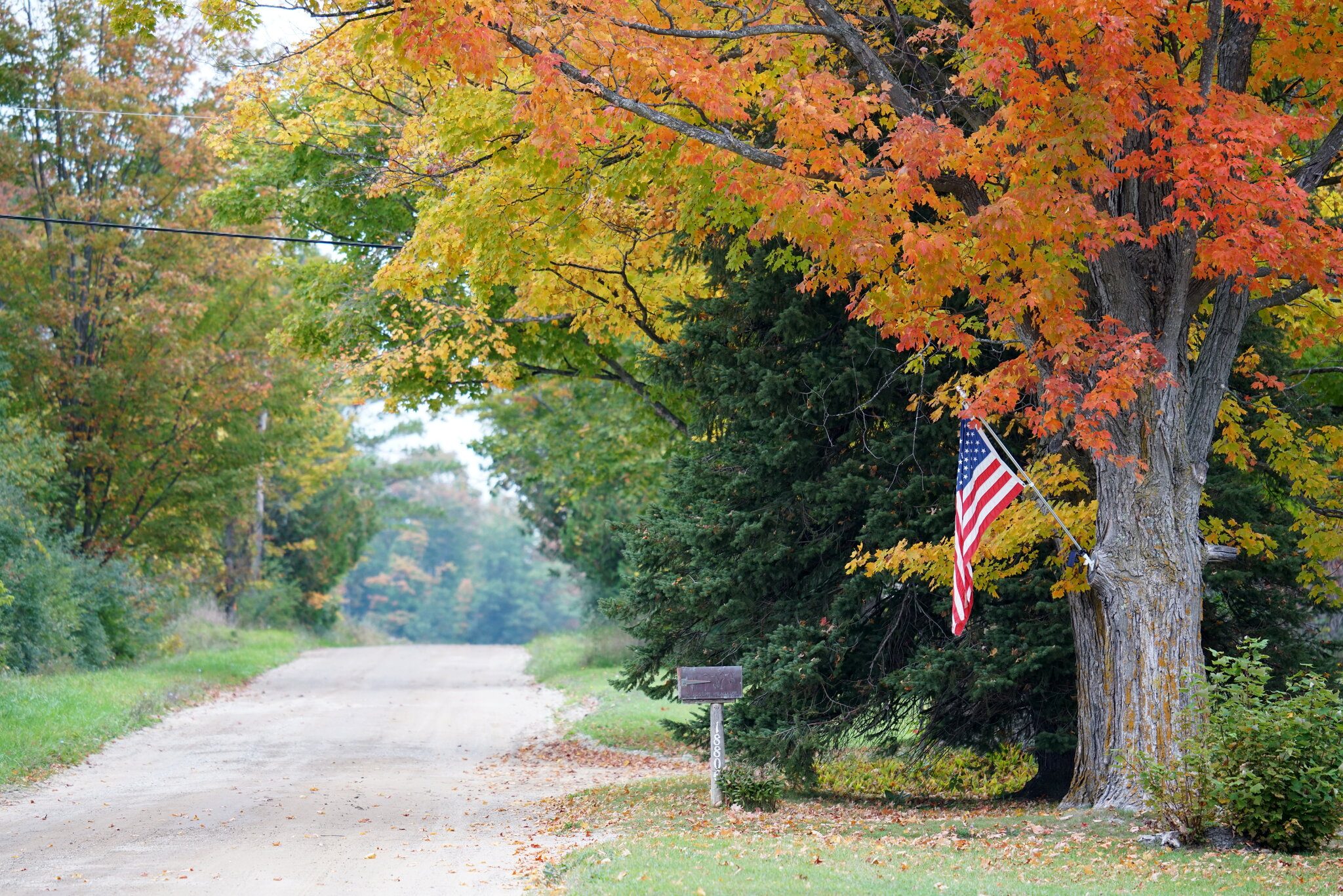 fall colors 2021.JPG