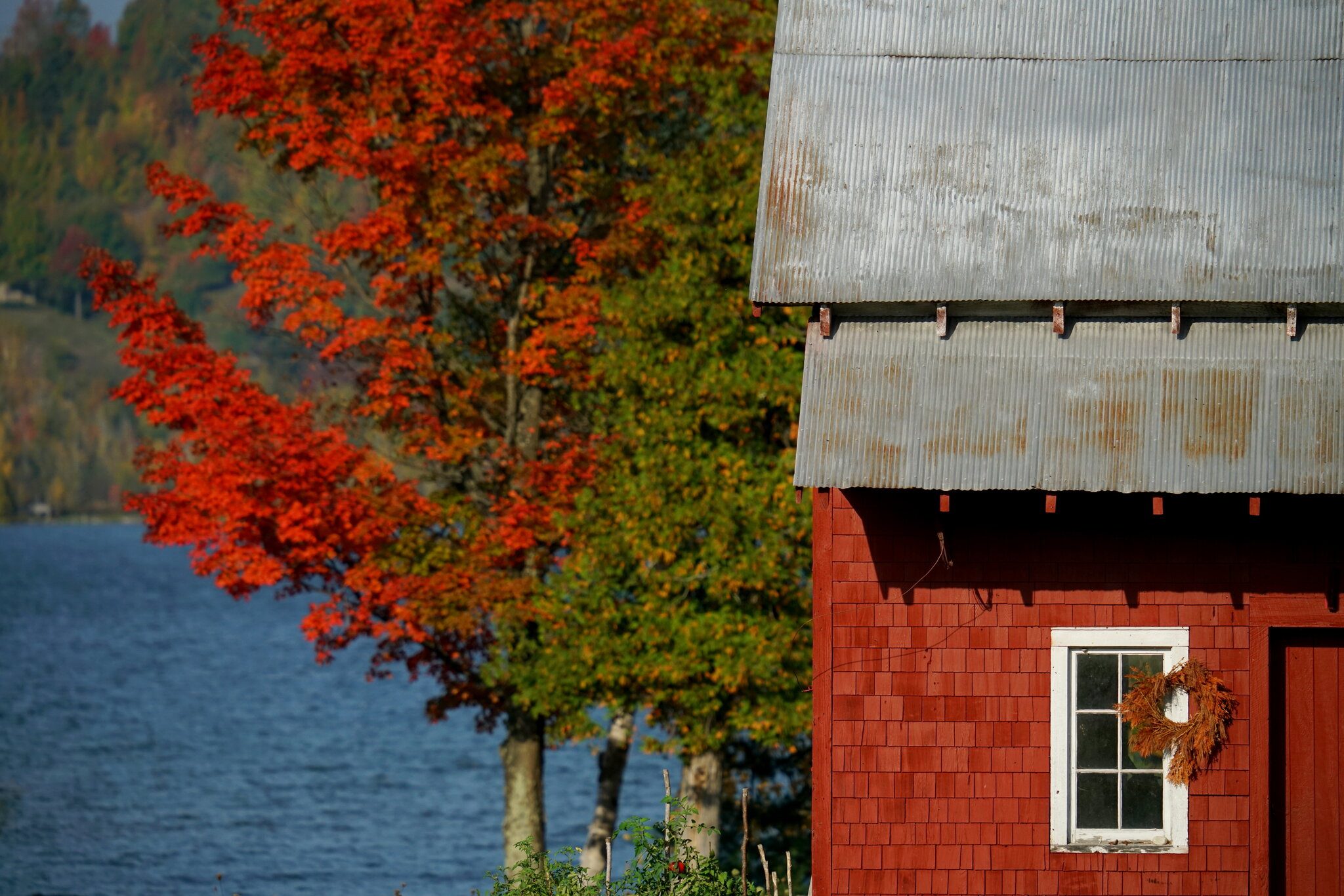 fall lake leelanau.JPG