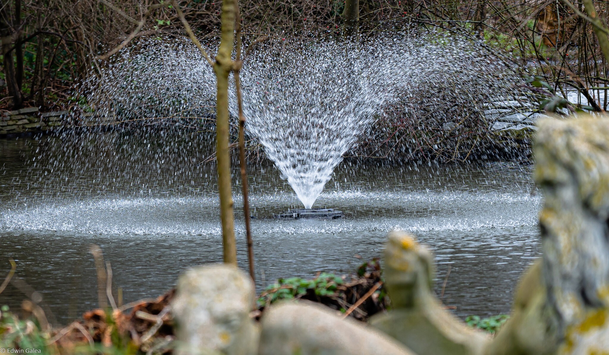 fountain_statue-3.jpg