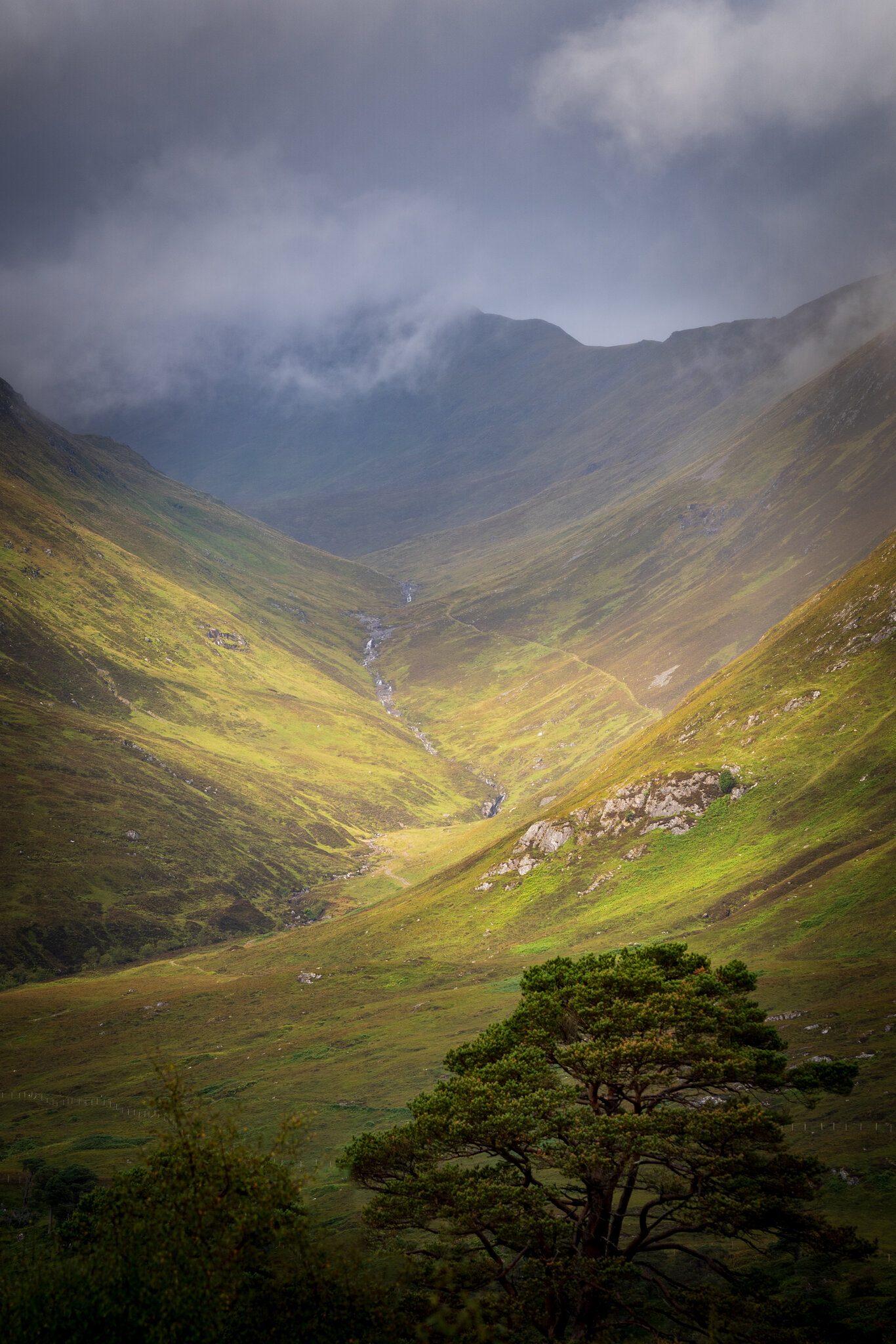 Glen Affric Loch - Scotland.