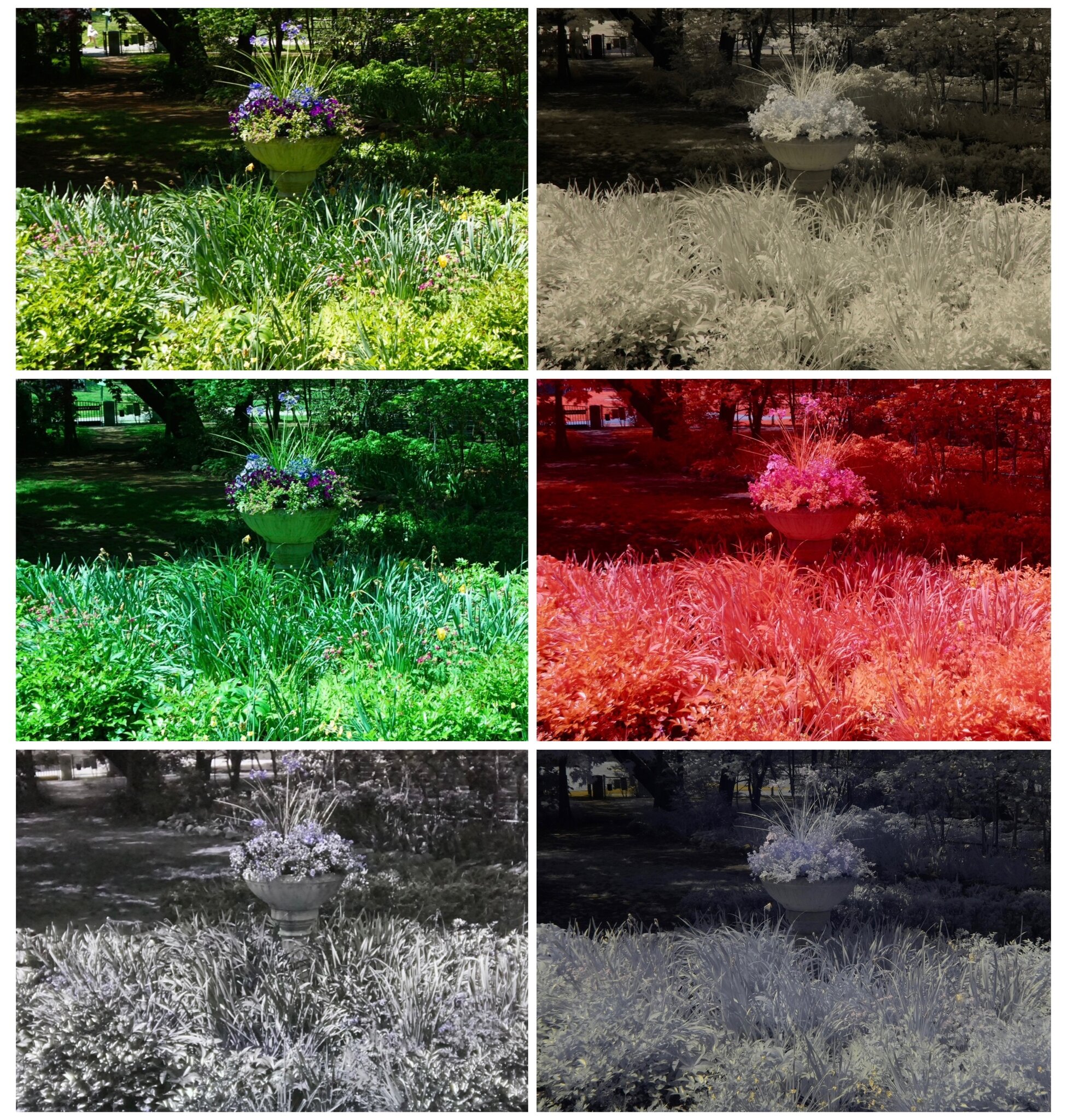 Hall's Pond Sanctuary Multispectral 4 - 14 May 2024