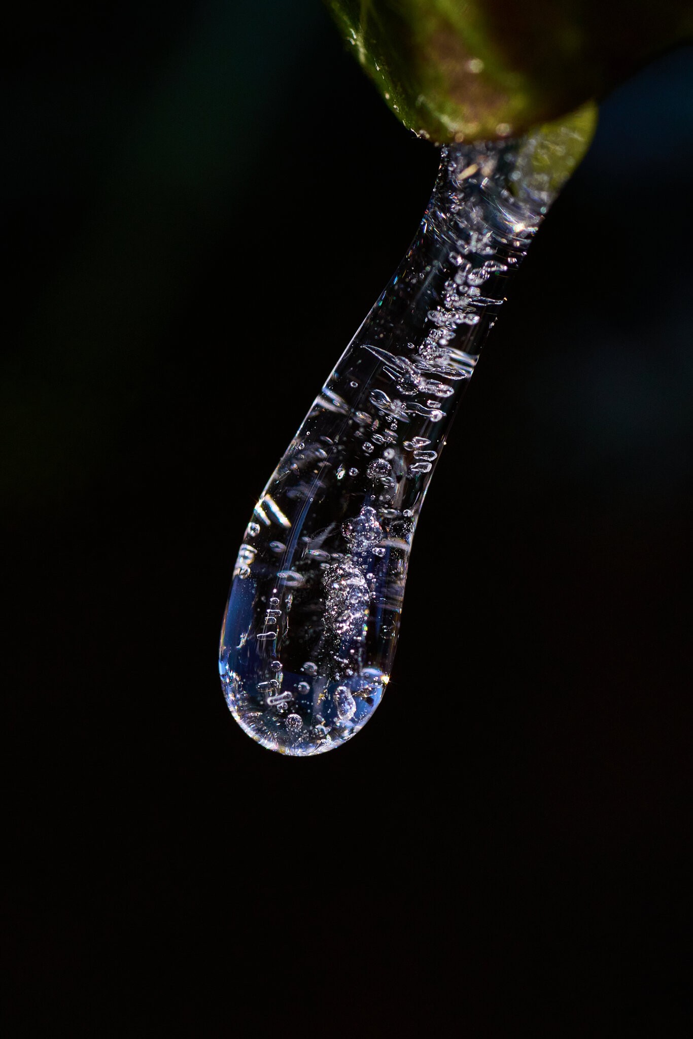 Icicle - Home - 01212025 - 05.jpg