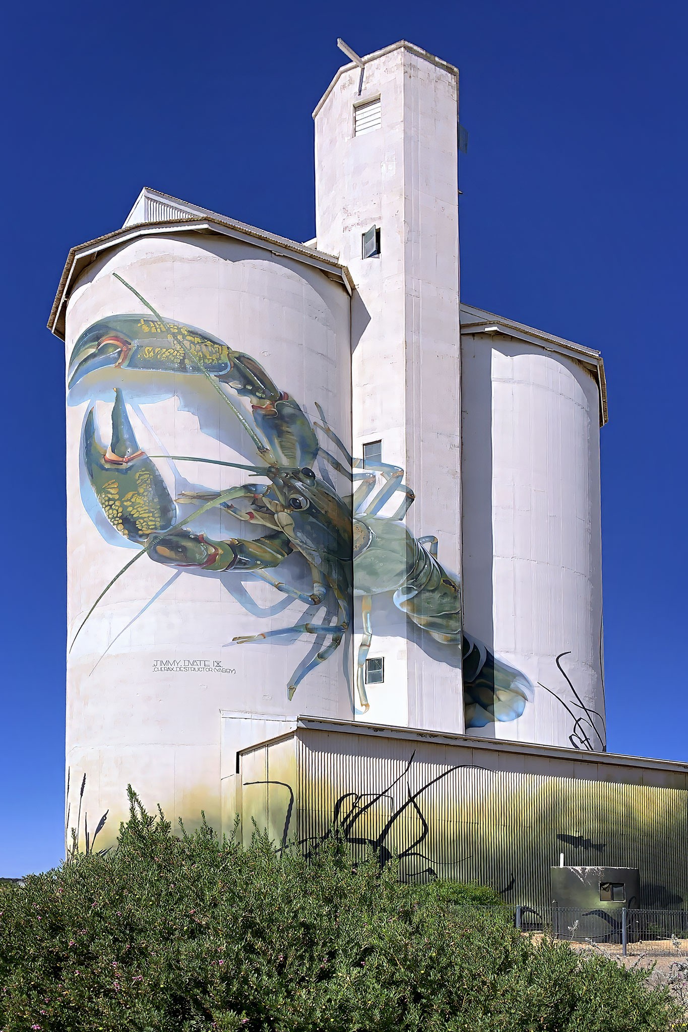 IMG_3231_Waikerie_Silo_Art_1.jpg