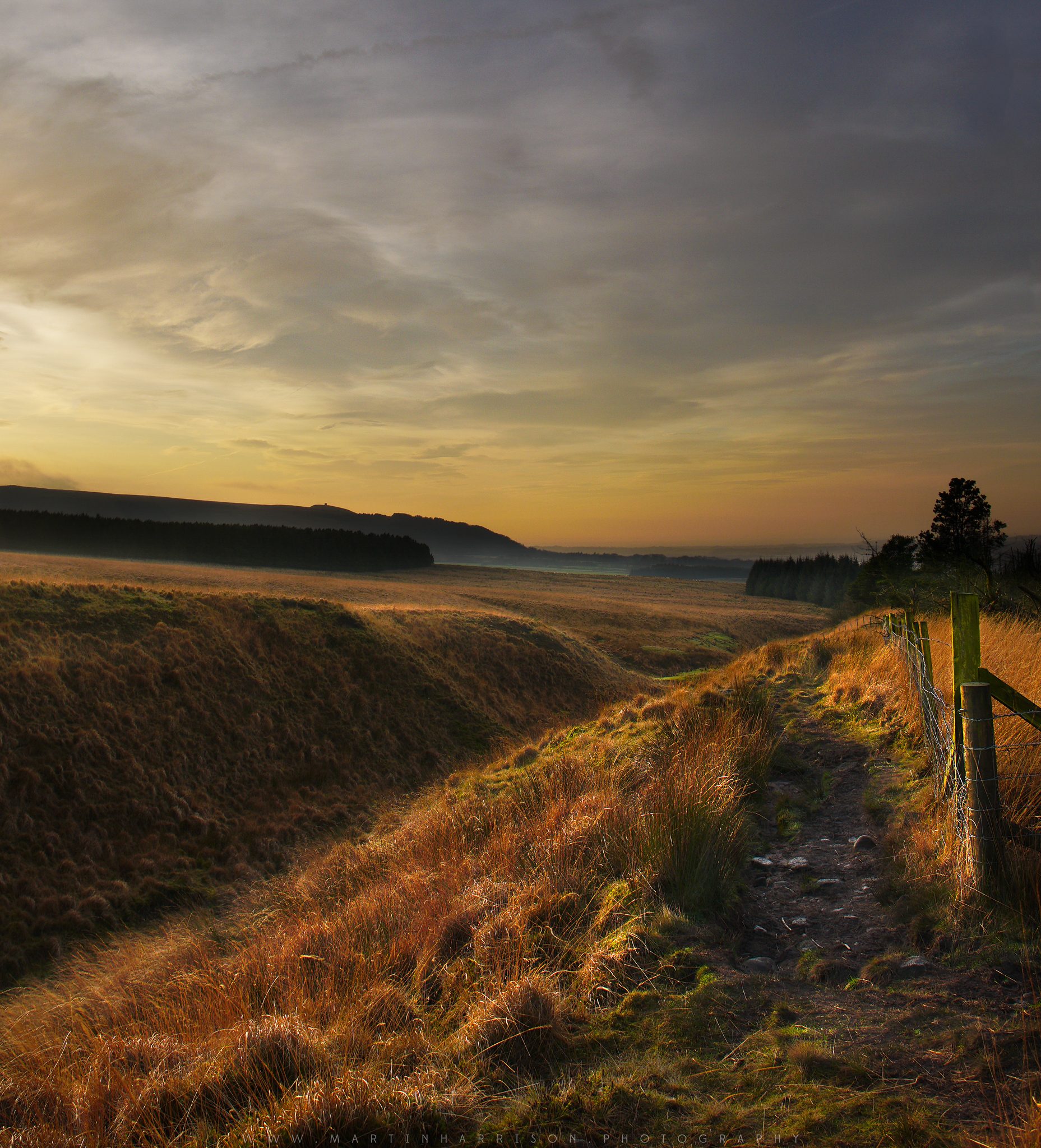 Out2-Early-Morning-Sunshine-Low-Sig-2048-on-Anglezarke-DSC04029.jpg