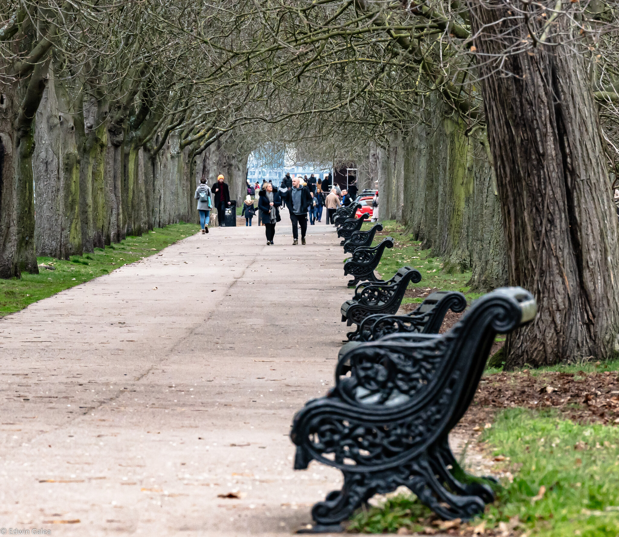 park_bench-2.jpg