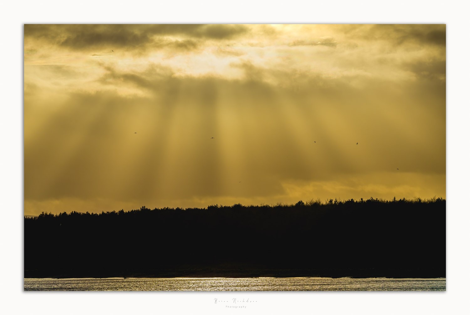 Rays of Flight