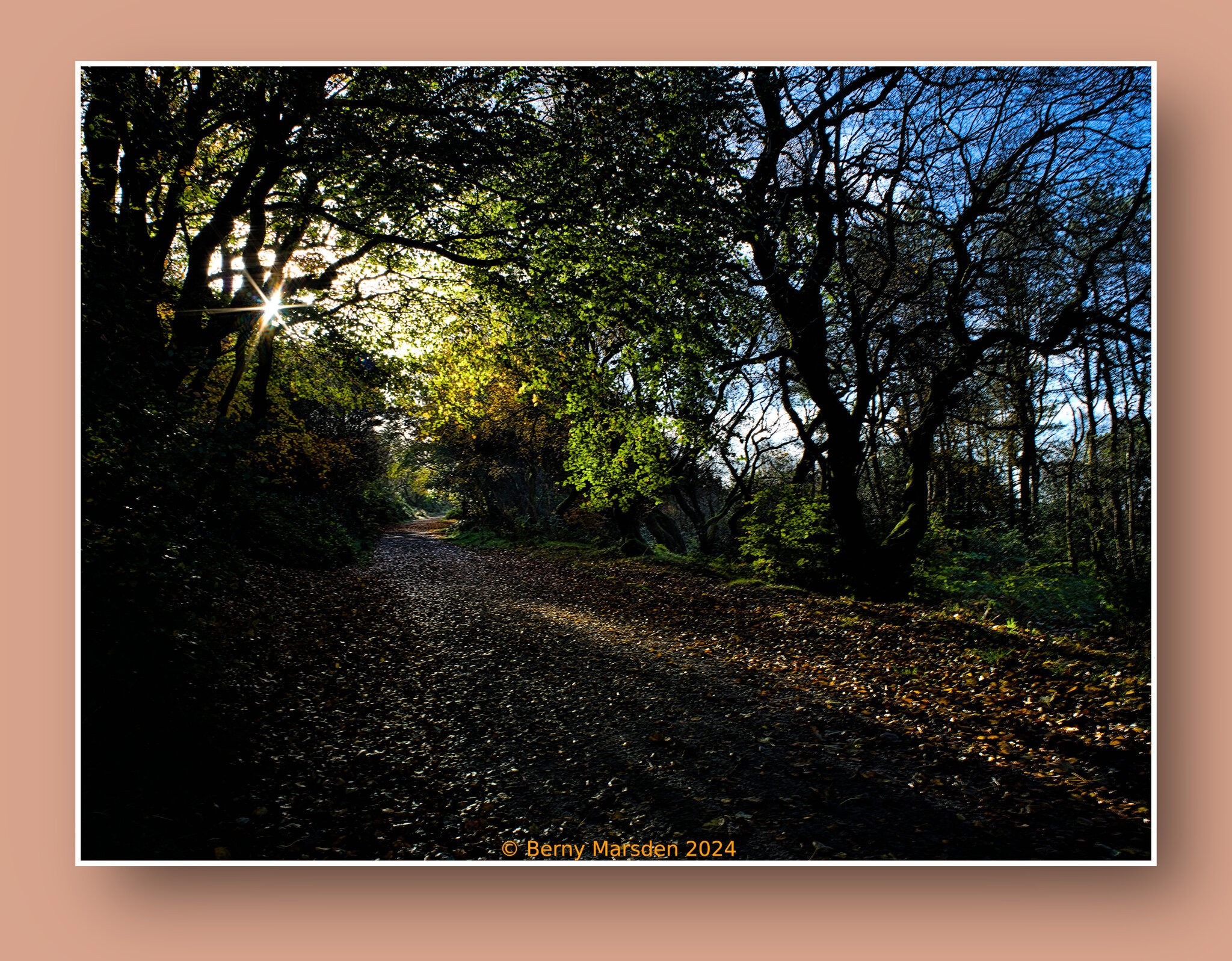 RivingtonWalkInAutumnCropped.jpg