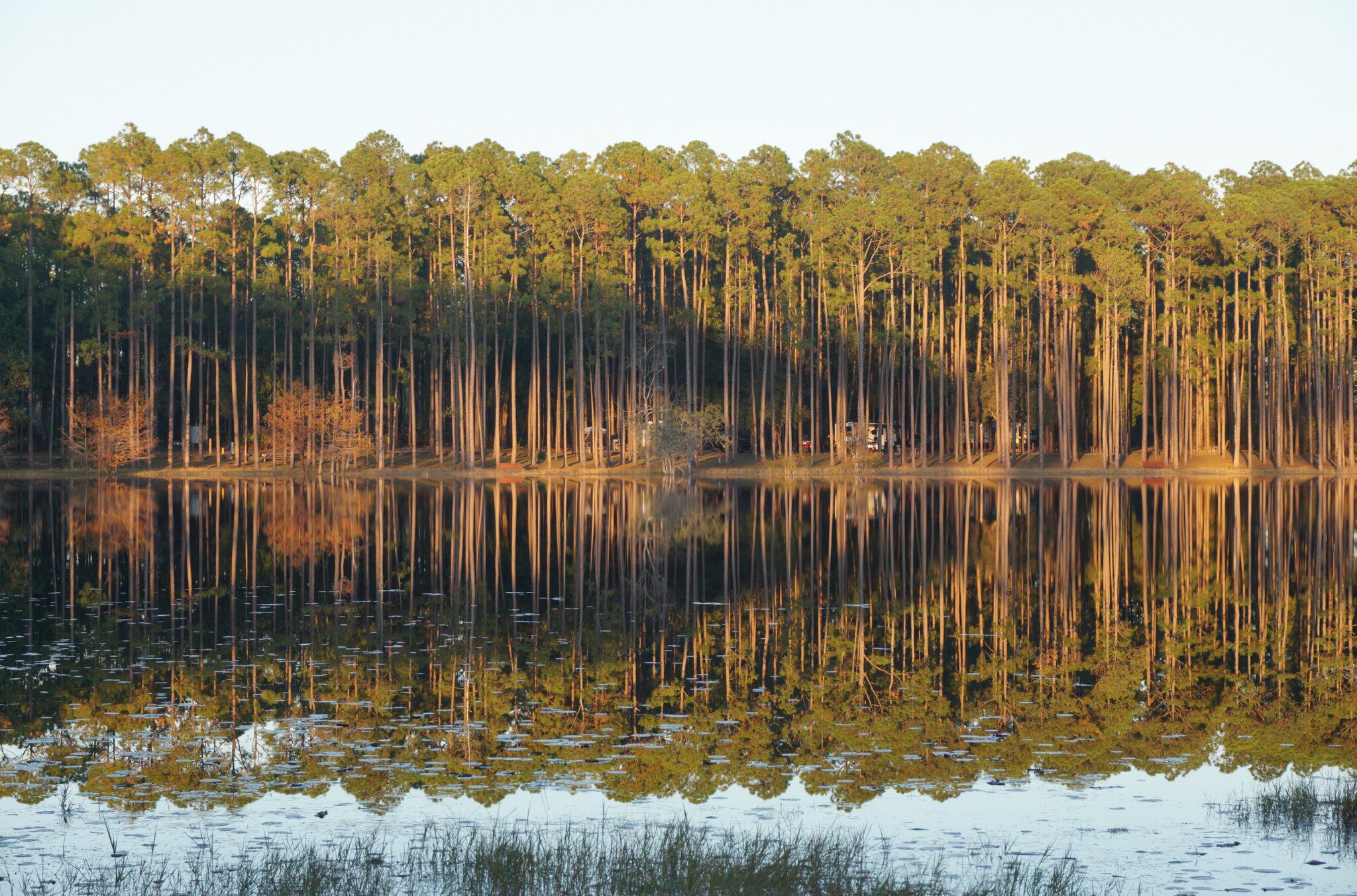 SandPondCampground.jpg