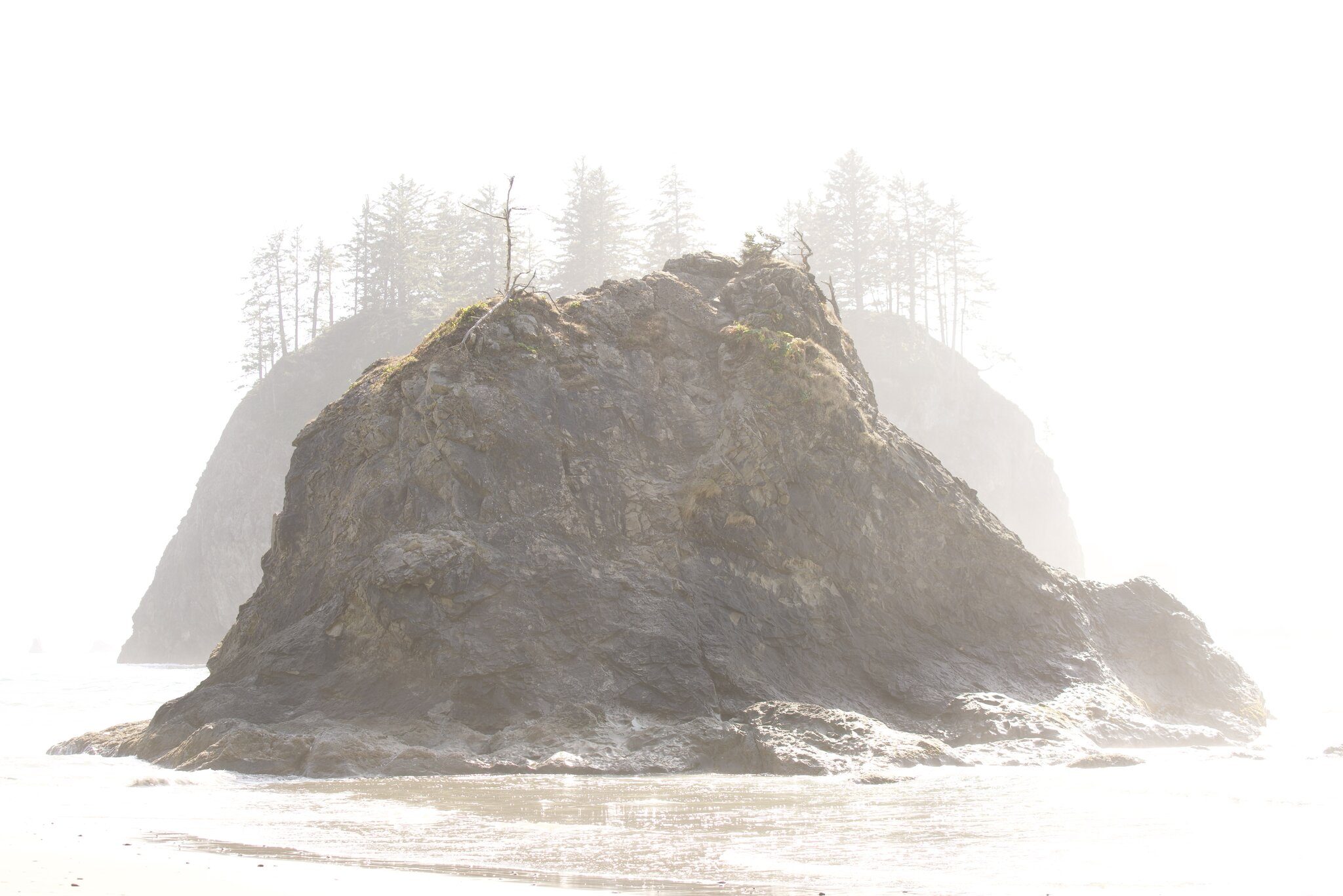 Sea Stack at Lapush WA