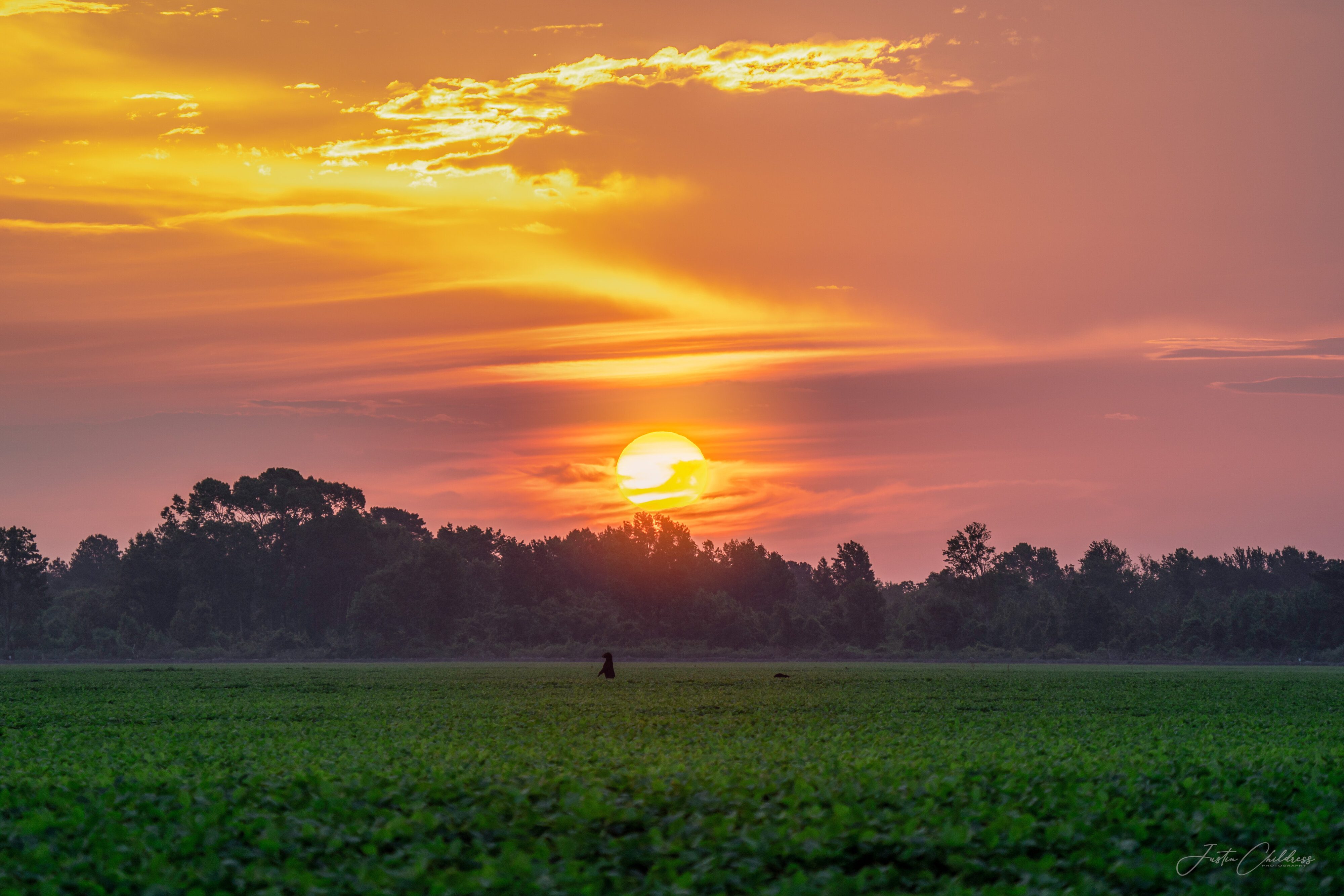 Sunrise with the Bears