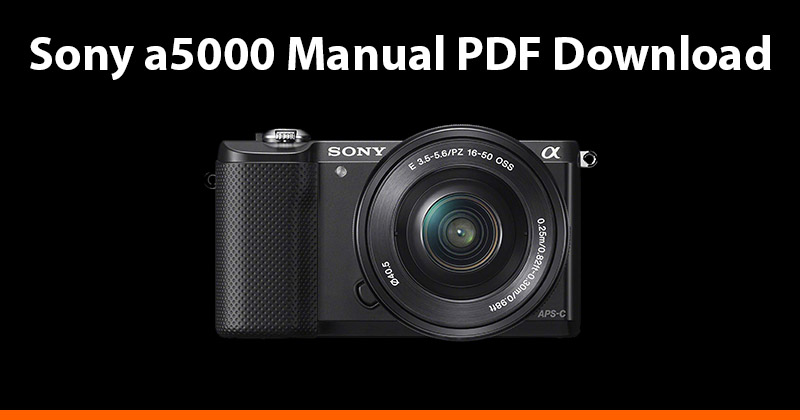 Sony Alpha A5000 User Manual Pdf