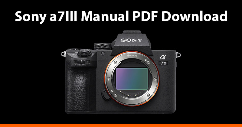 how to format sd card on sony a7iii